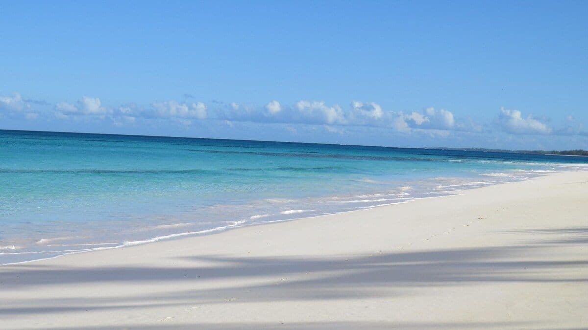En strand med kristallklart, turkosfärgat vatten och vit sand.