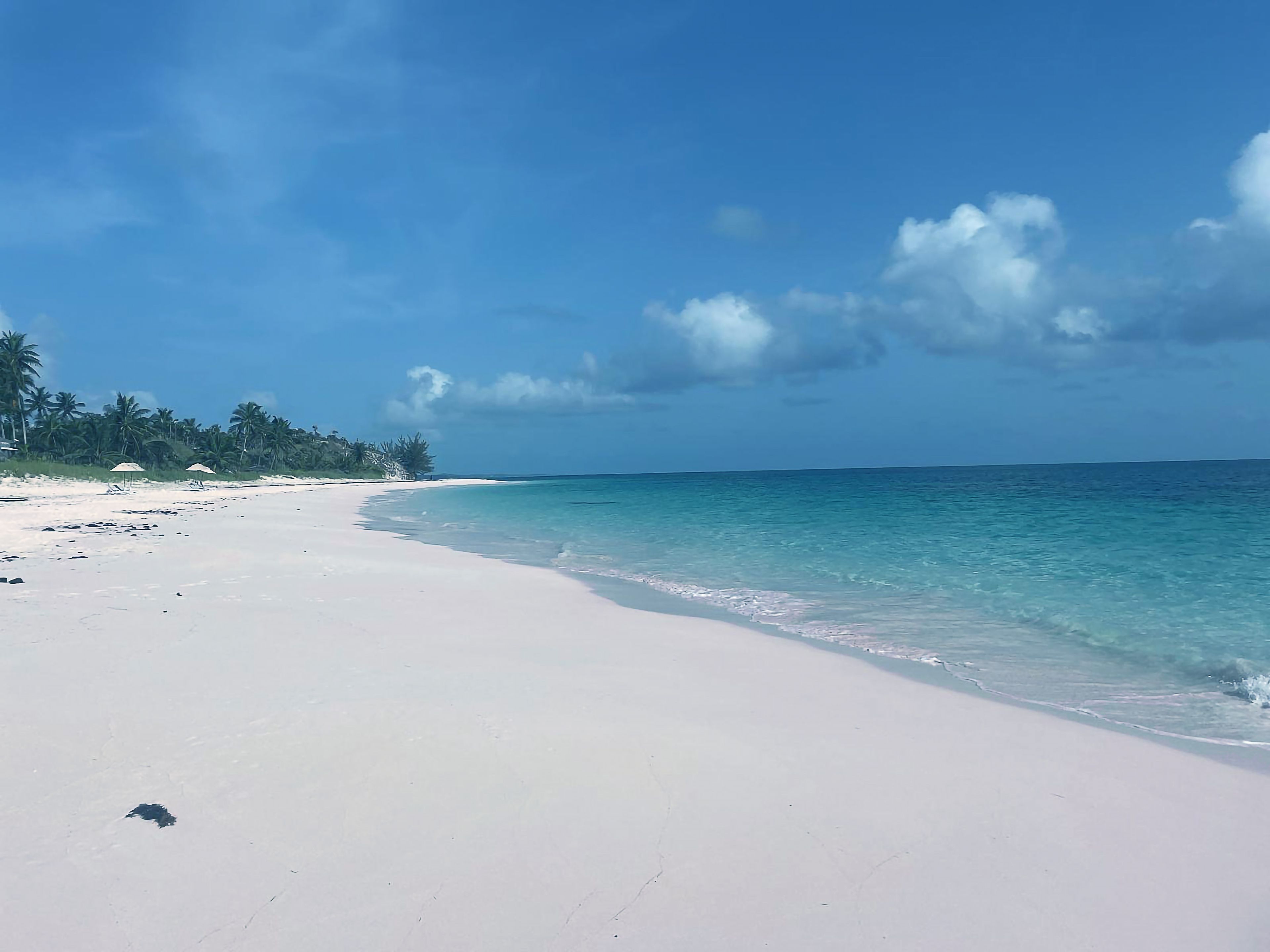 A beach with clear turquoise water, white sand, and palm trees.