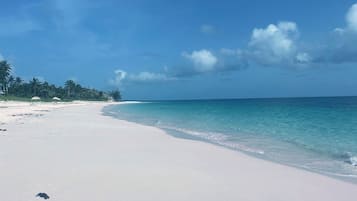 A beach with clear turquoise water, white sand, and palm trees.