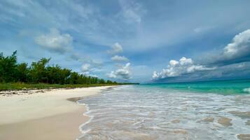A beach with clear turquoise waters, a sandy shore, and a line of trees in the background.