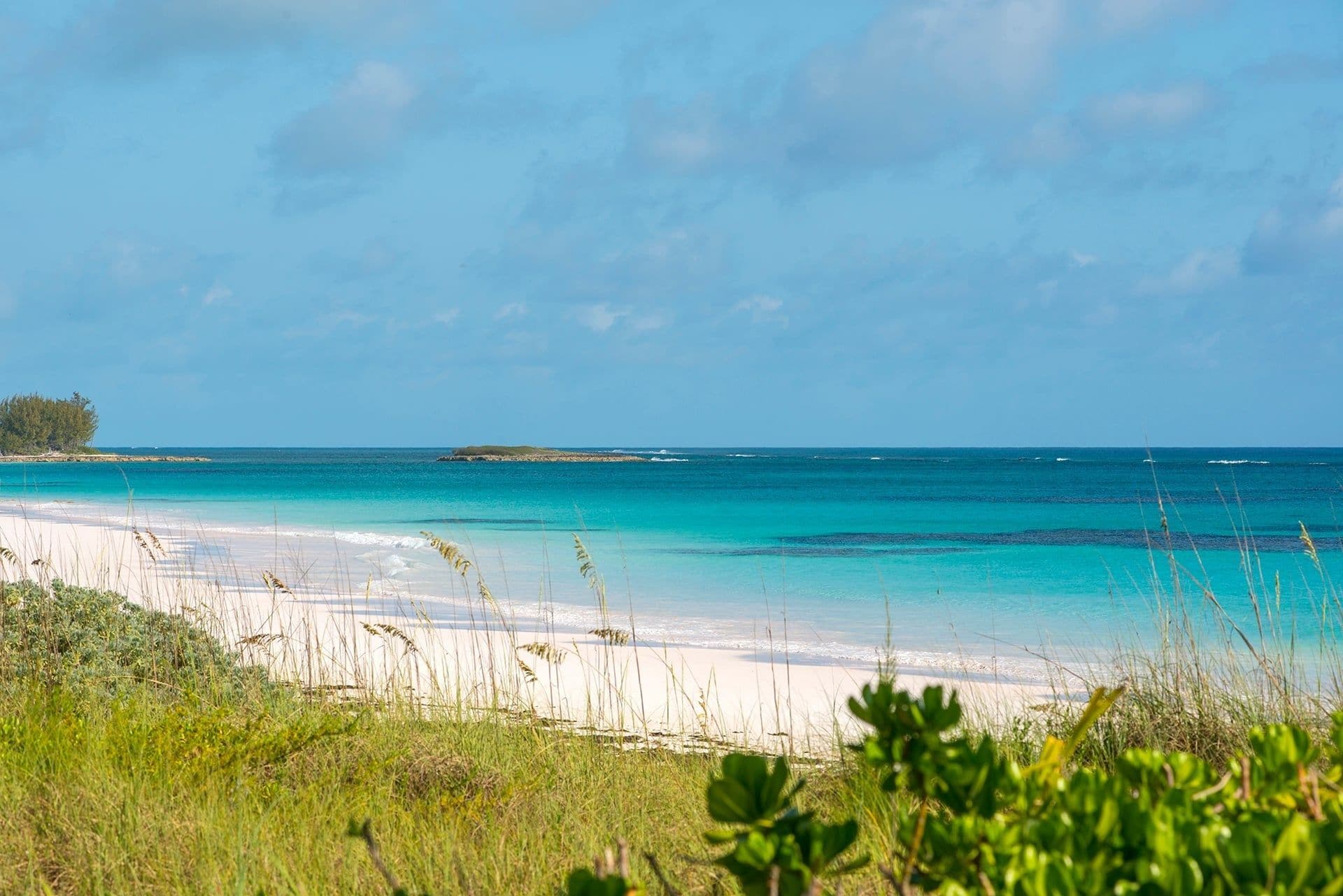 A beach with clear turquoise water, white sand, and sparse vegetation.