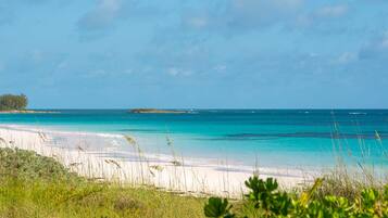 A beach with clear turquoise water, white sand, and sparse vegetation.