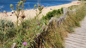 Ein Strand mit einer Holzpromenade, die zum Ufer führt, umgeben von Vegetation.