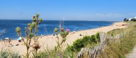 A beach with a wooden boardwalk leading to the shore, surrounded by vegetation.