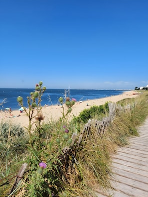 Une plage avec une promenade en bois qui mène au rivage, entourée de végétation.