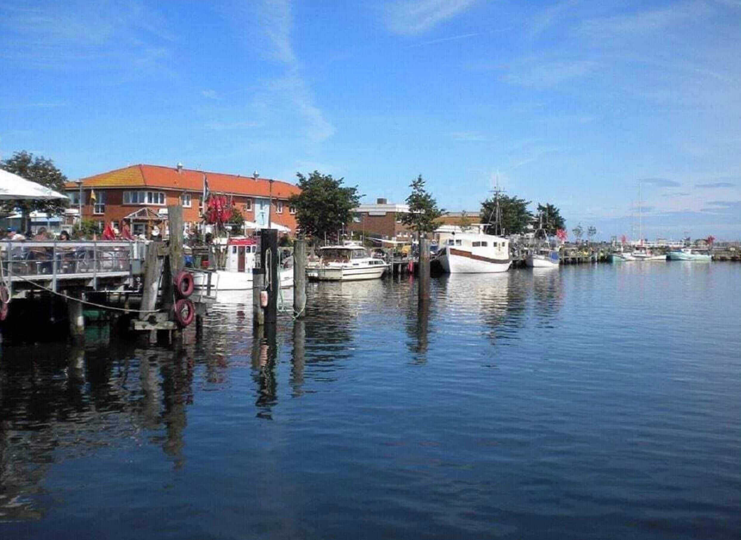 Een jachthaven met aangemeerde boten, een gebouw met een rood dak, en een heldere blauwe lucht.