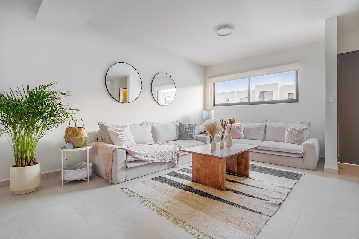 A modern living room with a sofa, a coffee table, and a large potted plant.