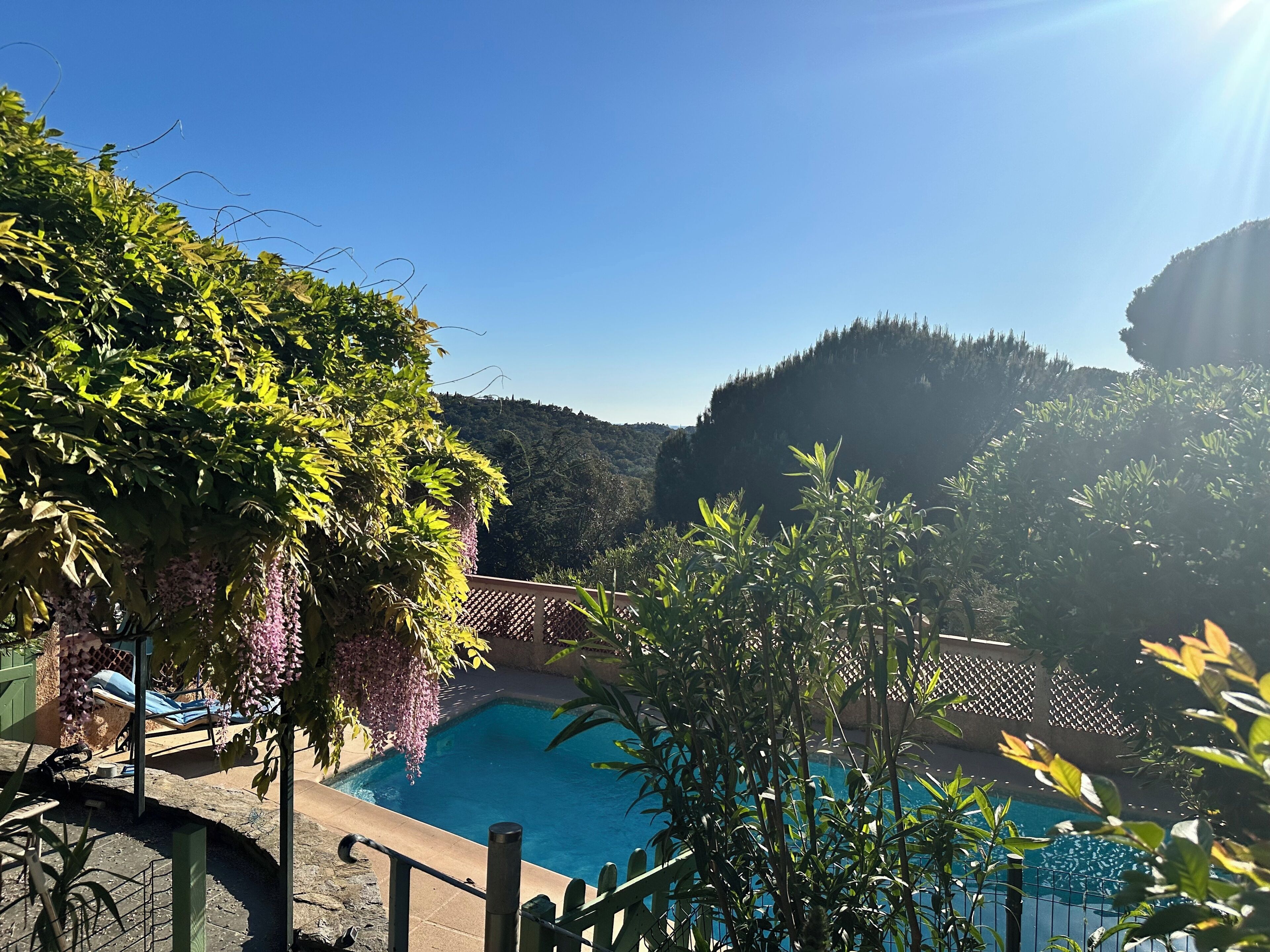 A pool area with a view of a mountainous landscape, surrounded by greenery and a pergola with hanging vines.