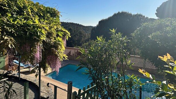 Ett poolområde med utsikt över ett bergigt landskap, omgivet av grönska och en pergola med hängande rankor.