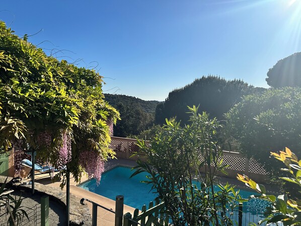 Ein Poolbereich mit Blick auf eine gebirgige Landschaft, umgeben von Grünpflanzen und einer Pergola mit hängenden Weinreben.