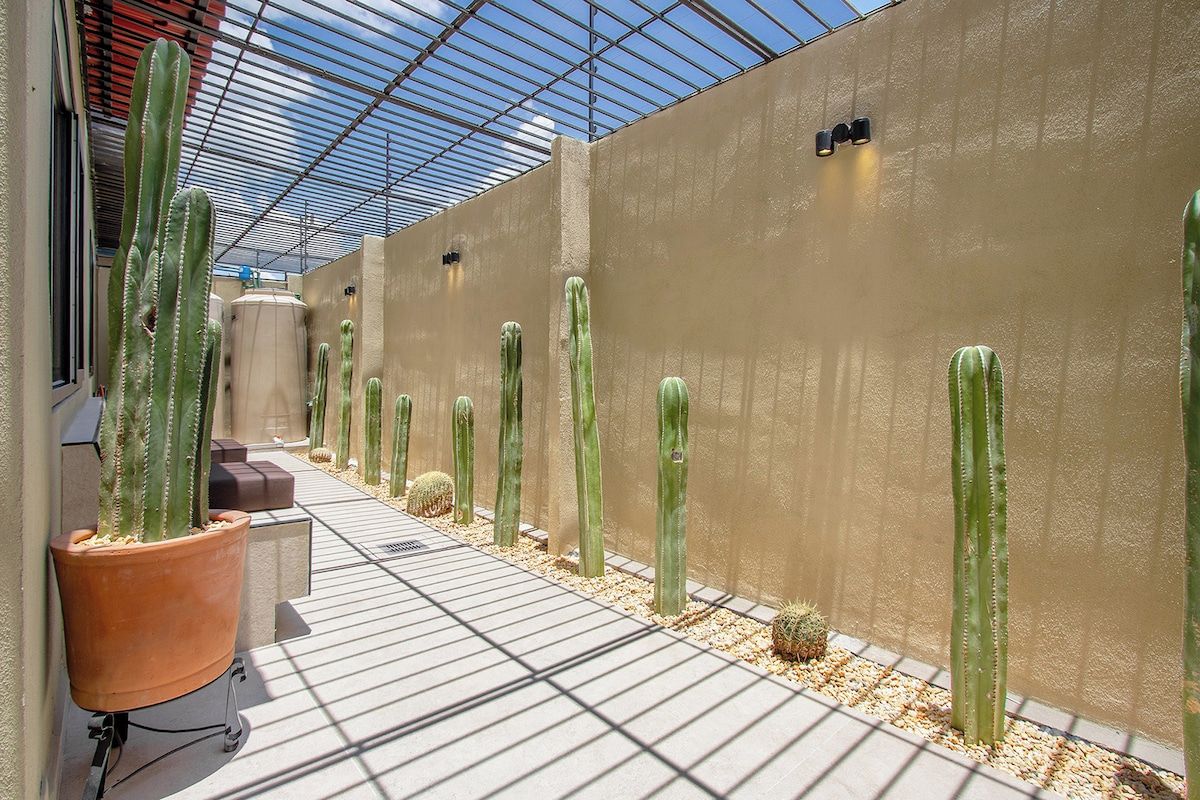 Un jardin de cactus avec de grands cactus et une structure à plafond de verre.