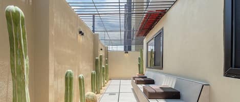 A corridor with a row of cacti, a bench, and a glass ceiling.