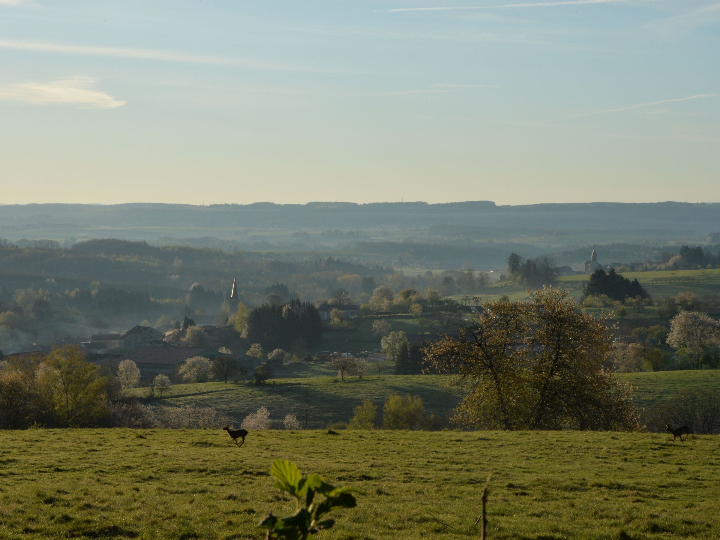 Ländliche Landschaft mit sanften Hügeln, einem Kirchturm und einem Reh auf einer Wiese.