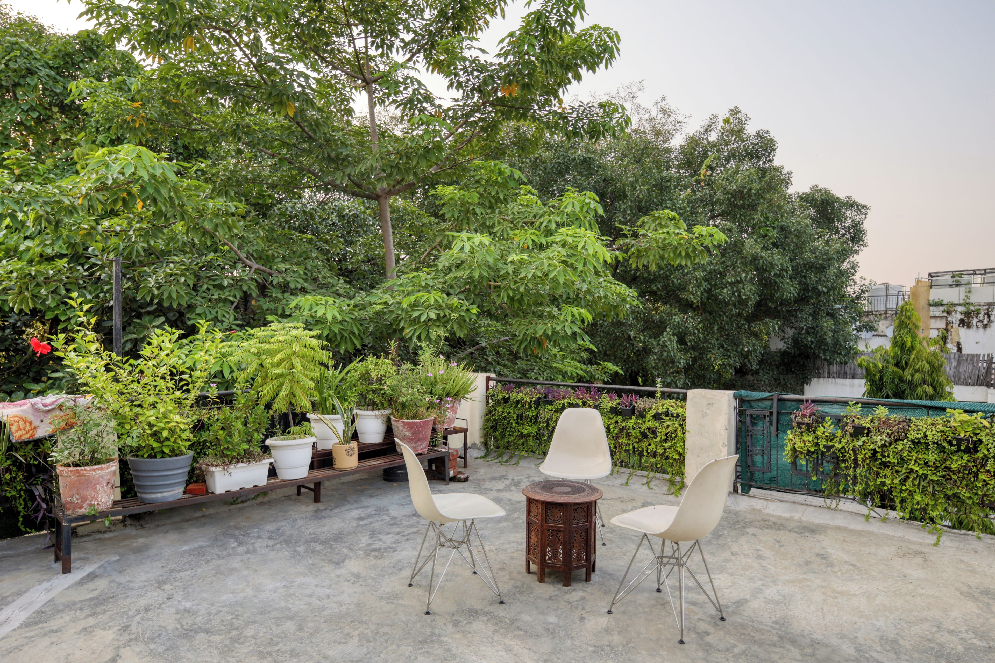 An outdoor seating area with a concrete floor, surrounded by potted plants and trees.
