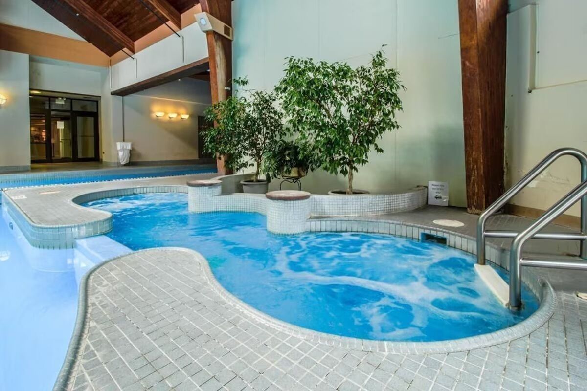 An indoor swimming pool with tiled edges, a central island with a tree, and a metal ladder.