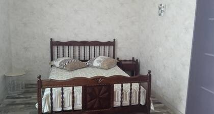 Detached, single-story apartment in a completely quiet location, 500 meters from downtown