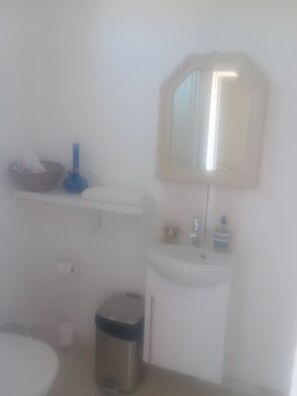 A bathroom with a toilet, sink, mirror, and trash bin.