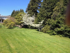 A well-maintained grassy area with a small tree and dense forest in the background. - Apartment Sleeps 2 With Parking, Pets Welcome (Penrith)