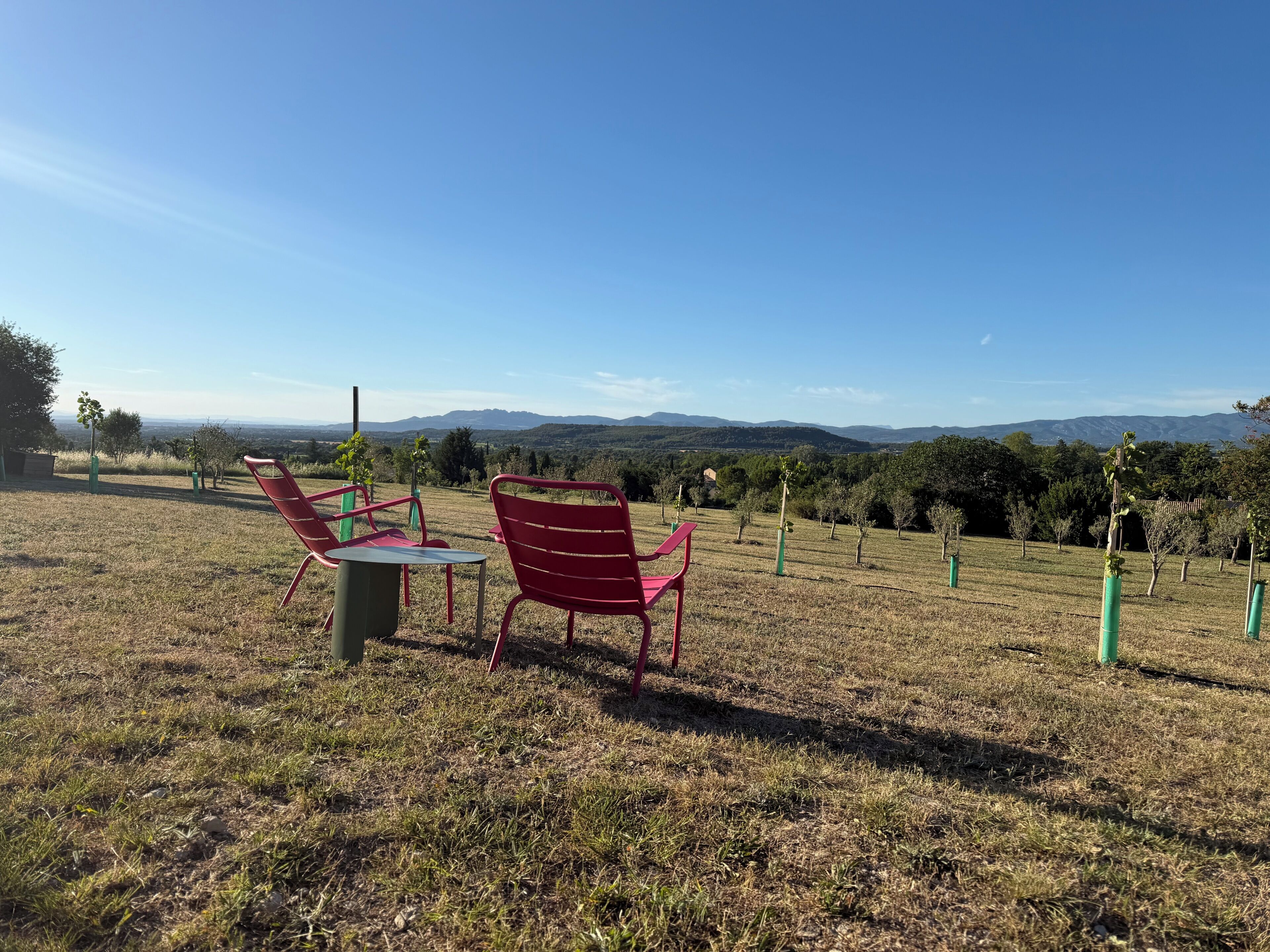 A grassy outdoor area with red chairs and a table, overlooking a vineyard and distant mountains.