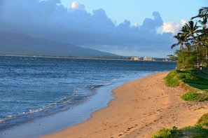Ein Strand mit sandigem Ufer, Palmen und einer entfernten Ansicht von Gebäuden über dem Wasser.