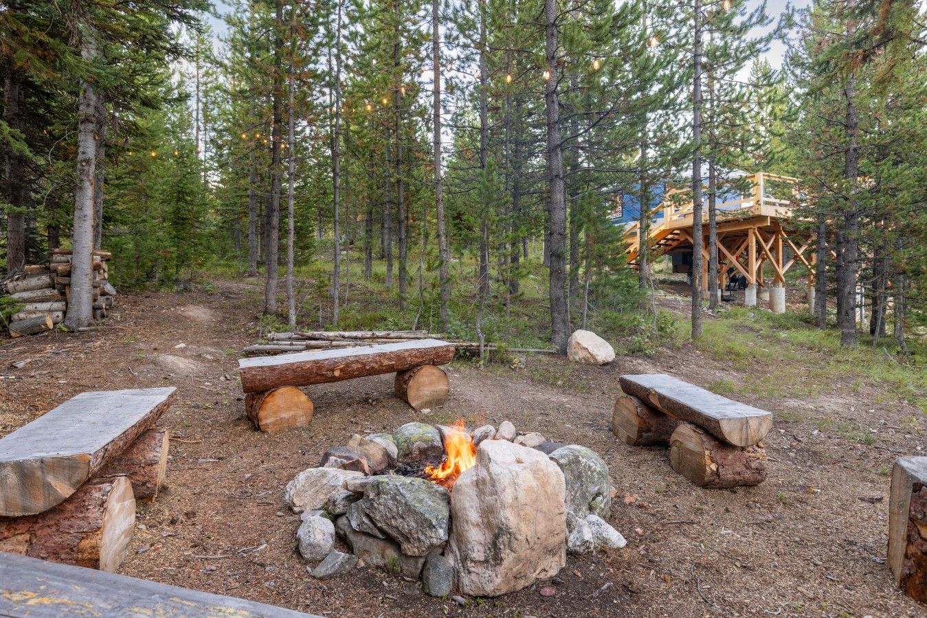 A forest campsite with a fire pit, benches, and a wooden structure in the background.