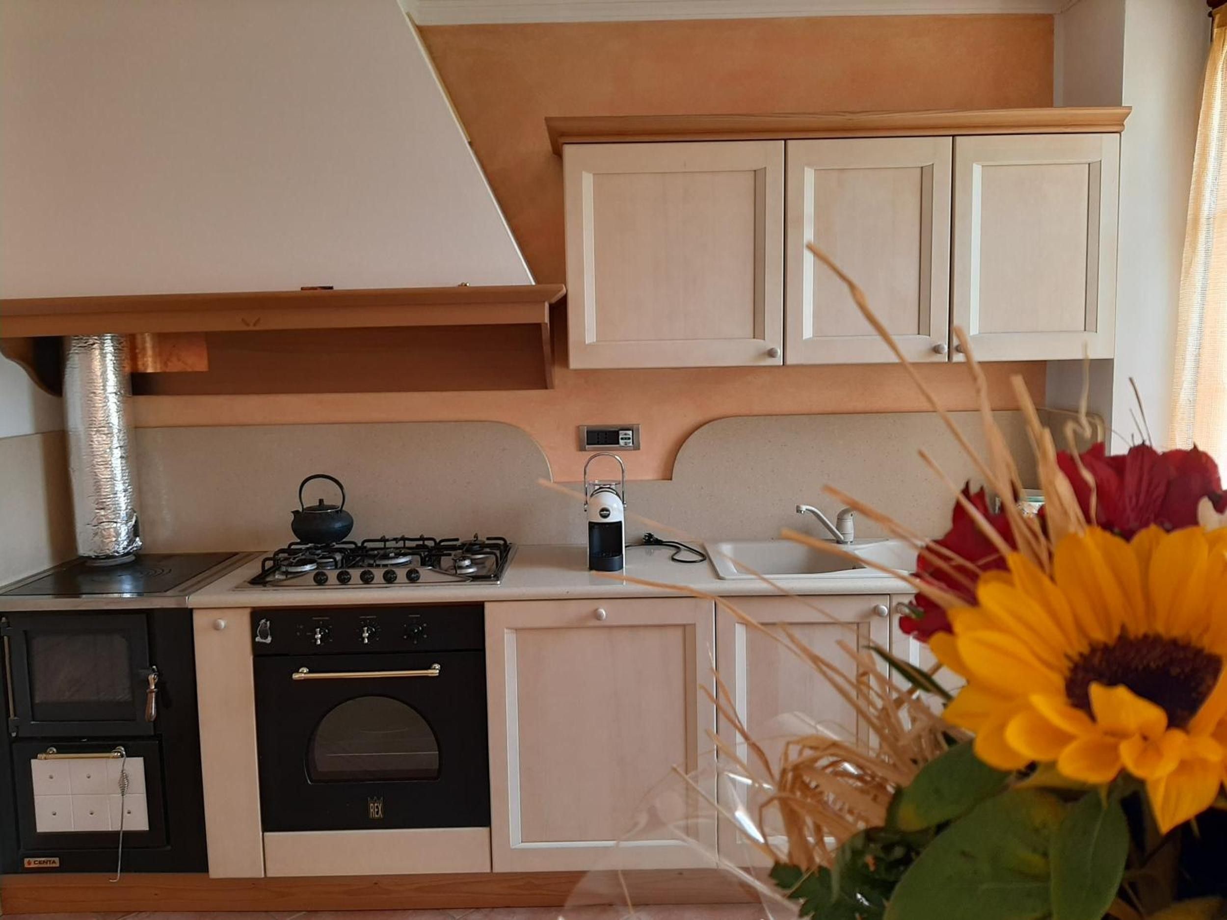 Una cocina compacta con estufa a gas, horno y pileta.