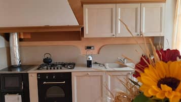 Una cocina compacta con estufa a gas, horno y pileta.