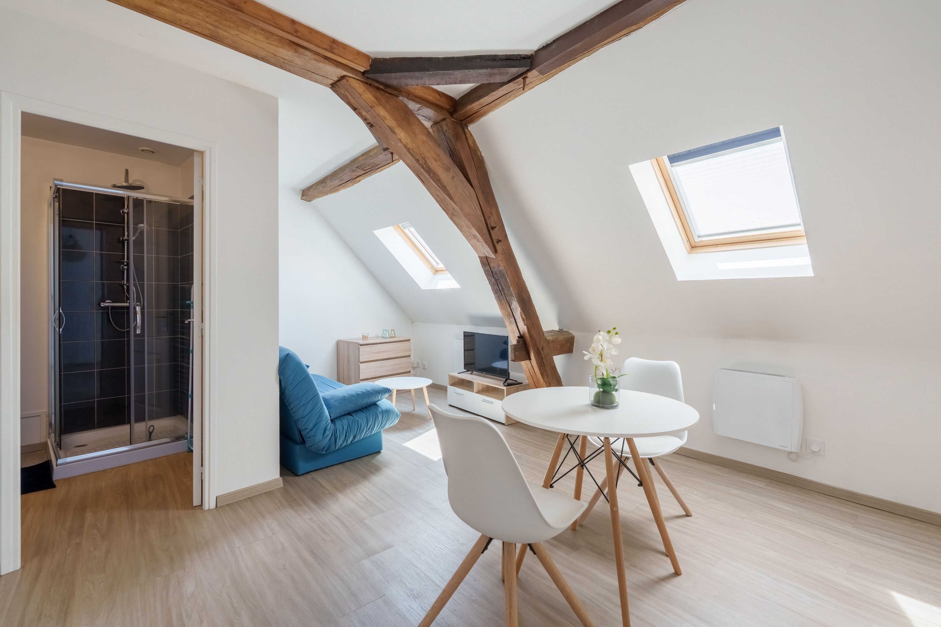 A modern loft apartment with a sloped ceiling, skylights, a shower, a blue sofa, a dining table with chairs, and a TV.