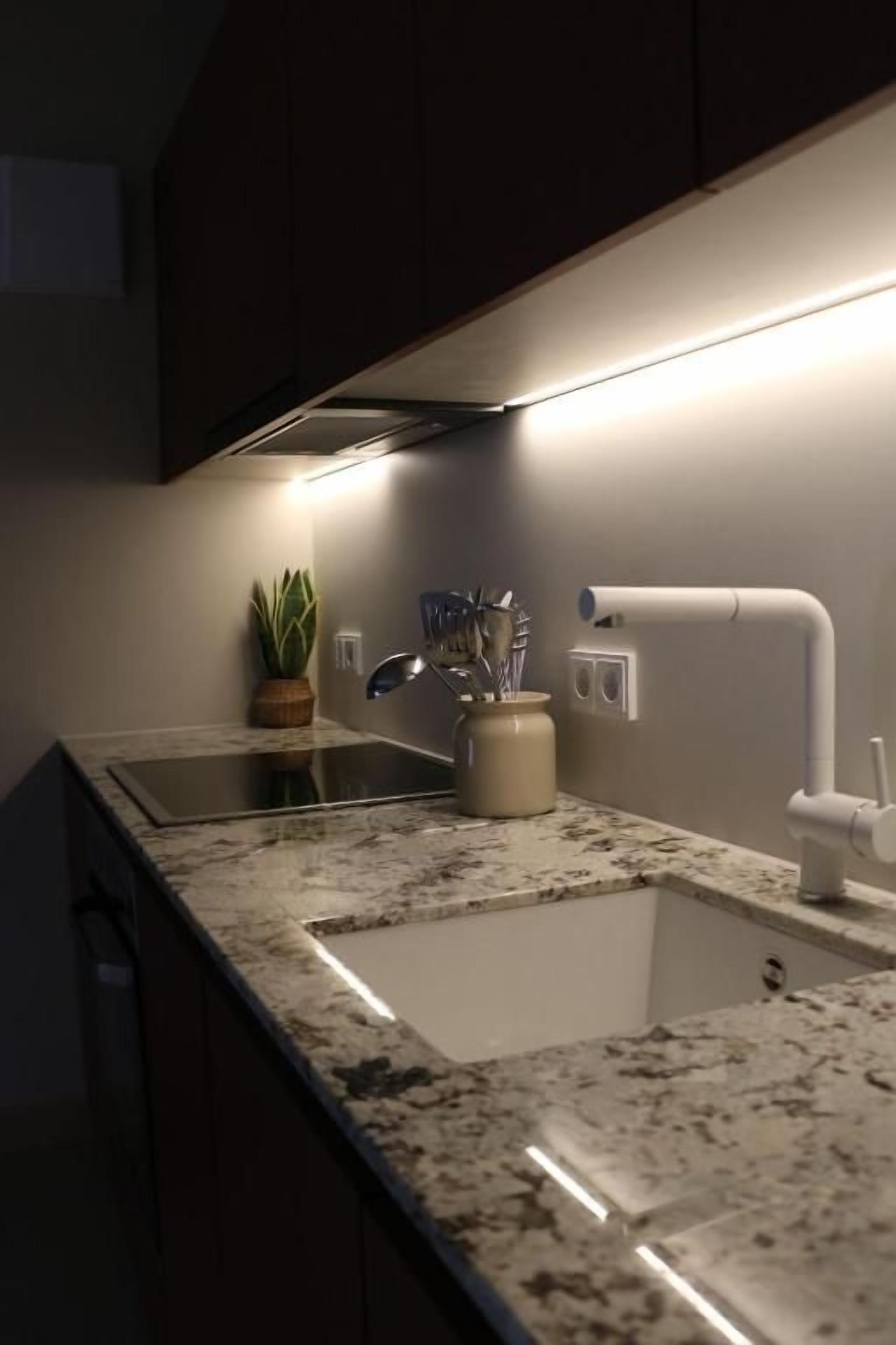 Eine Küche mit einer Granitabdeckung, einer Spüle, einer Pflanze und einem modernen Wasserhahn.