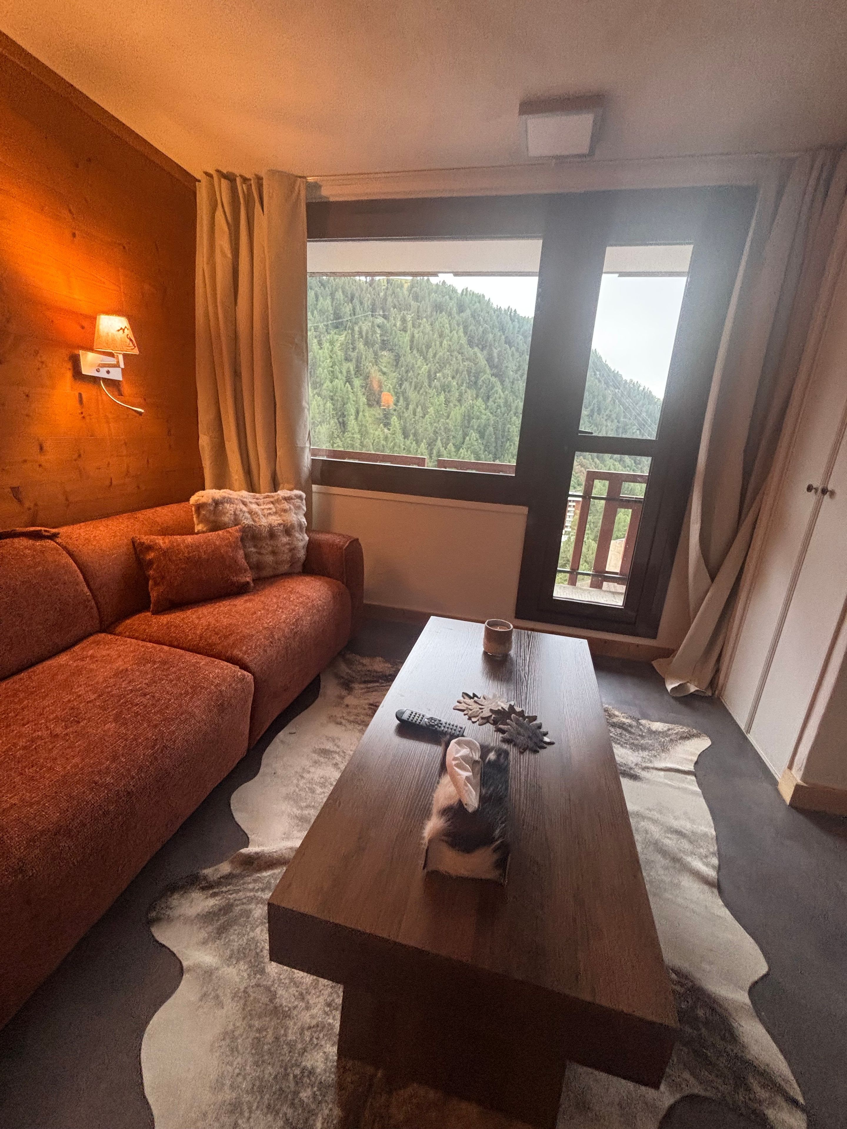Un salon chaleureux avec un canapé, une table basse en bois et une vue sur une montagne boisée.