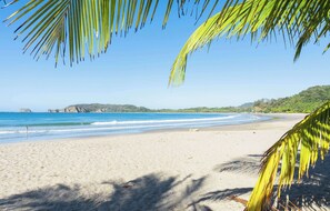 Ein Strand mit klarem, blauem Wasser, sandigem Ufer und Palmen.