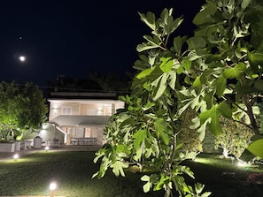 A well-lit outdoor area with a stone building, a tree, and a lawn. - Detached Villa for Exclusive Use with an Infinity Pool (Puglia)