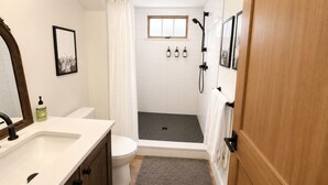 A bathroom with a shower, toilet, sink, and a mirror. - Riverbend Studio | Near Old Town & Poudre Trail (Fort Collins)