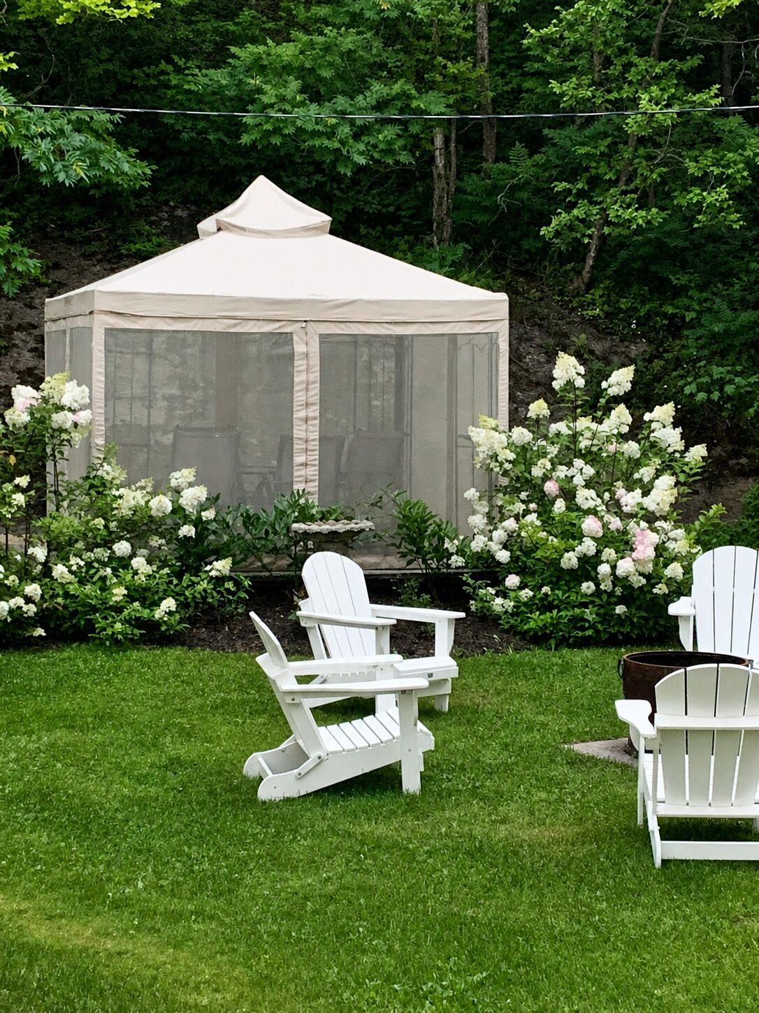 A gazebo with a mesh roof, surrounded by white Adirondack chairs, and a garden with white flowers.