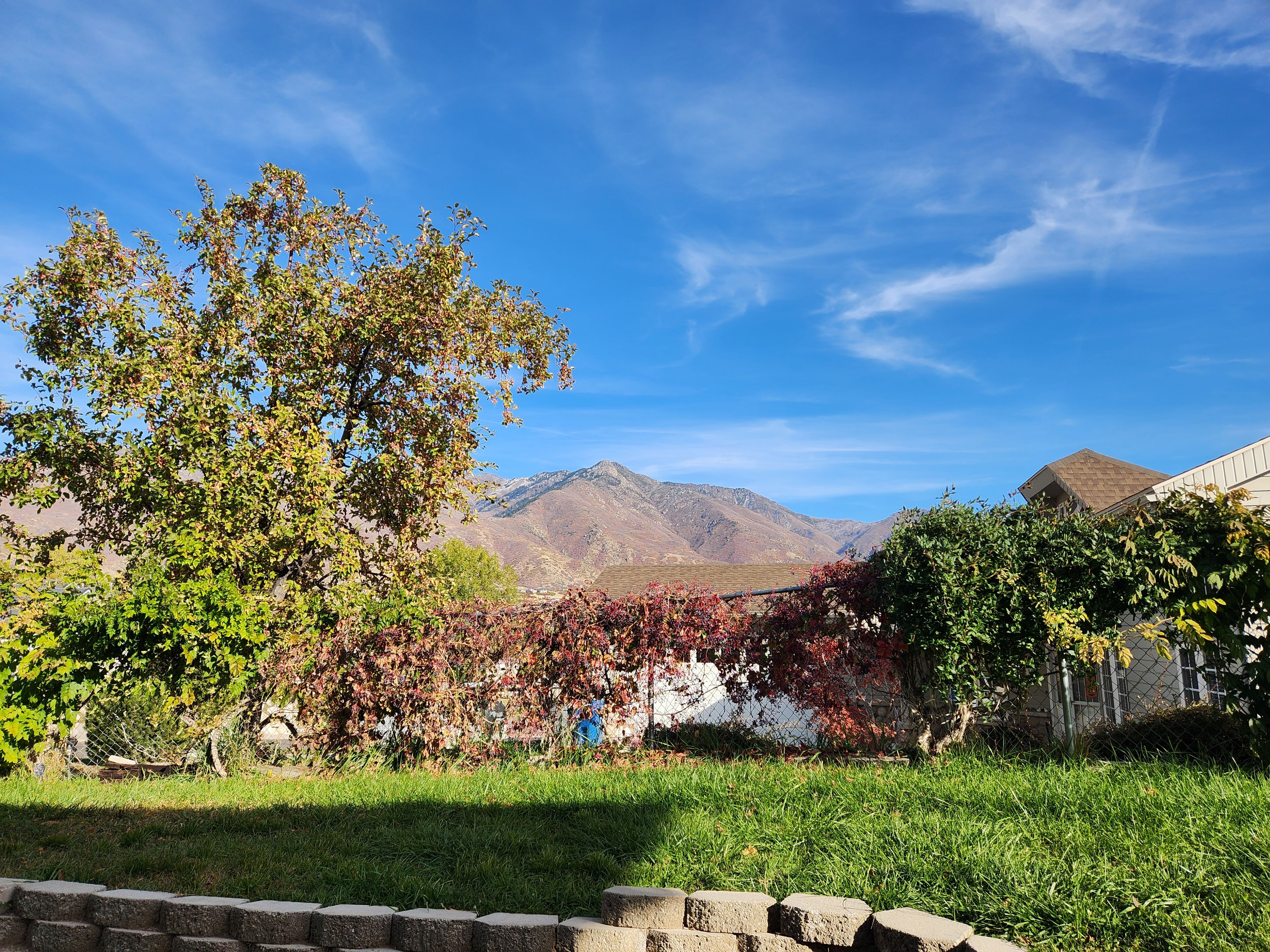 A residential area with a grassy lawn, a stone wall, and a mountain in the background.