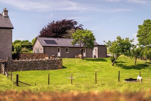 Ein Haus mit einer Steinmauer, einem grünen Rasen und einem Schaf im Vordergrund.