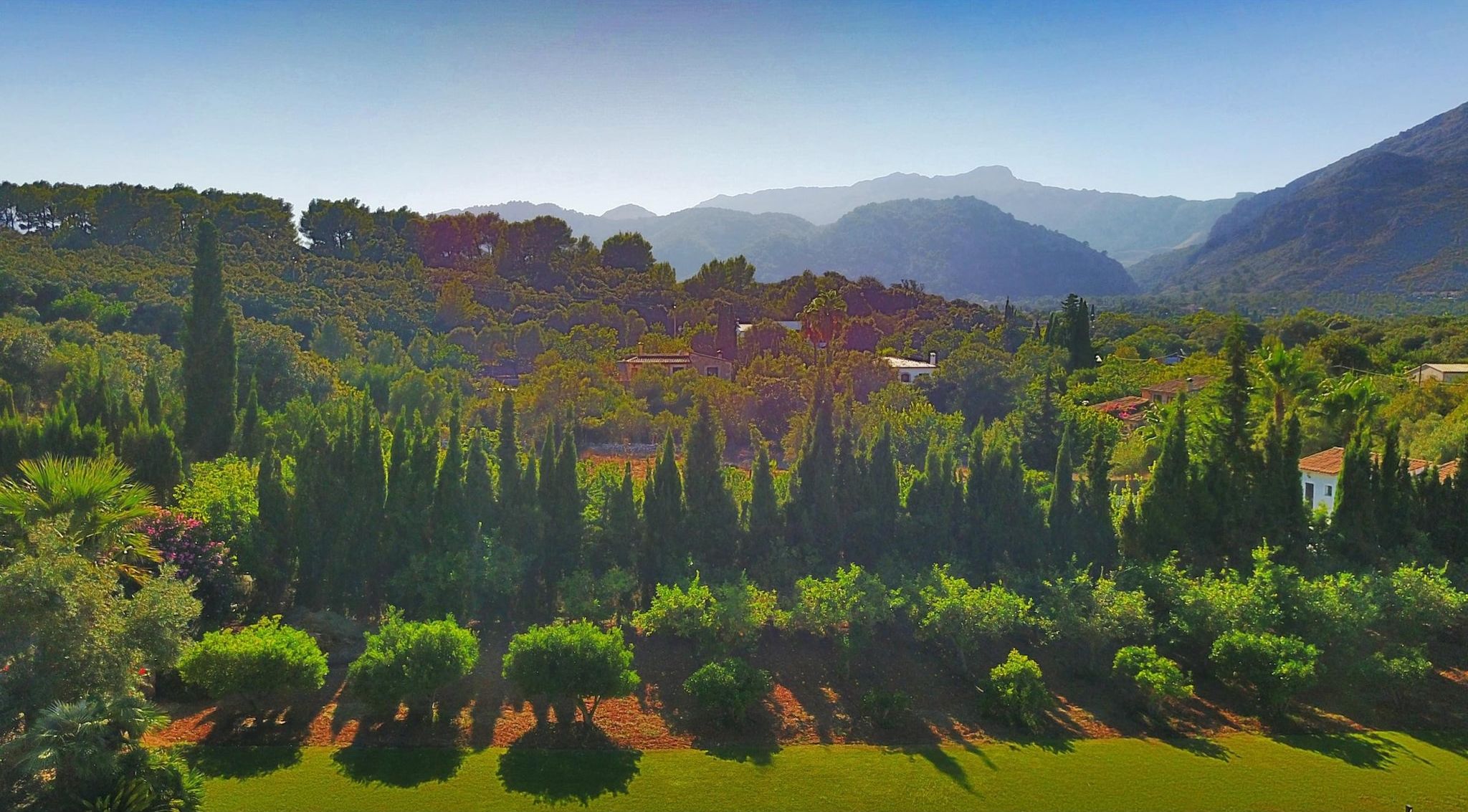 Immediate Surroundings [summer] (<1 km)