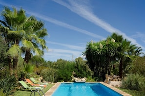 Ein Swimmingpool mit blauem Himmel, umgeben von üppiger Vegetation und Palmen.
