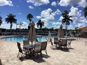 Un espace aménagé au bord de la piscine, avec des chaises longues et des parasols, une piscine et des palmiers.