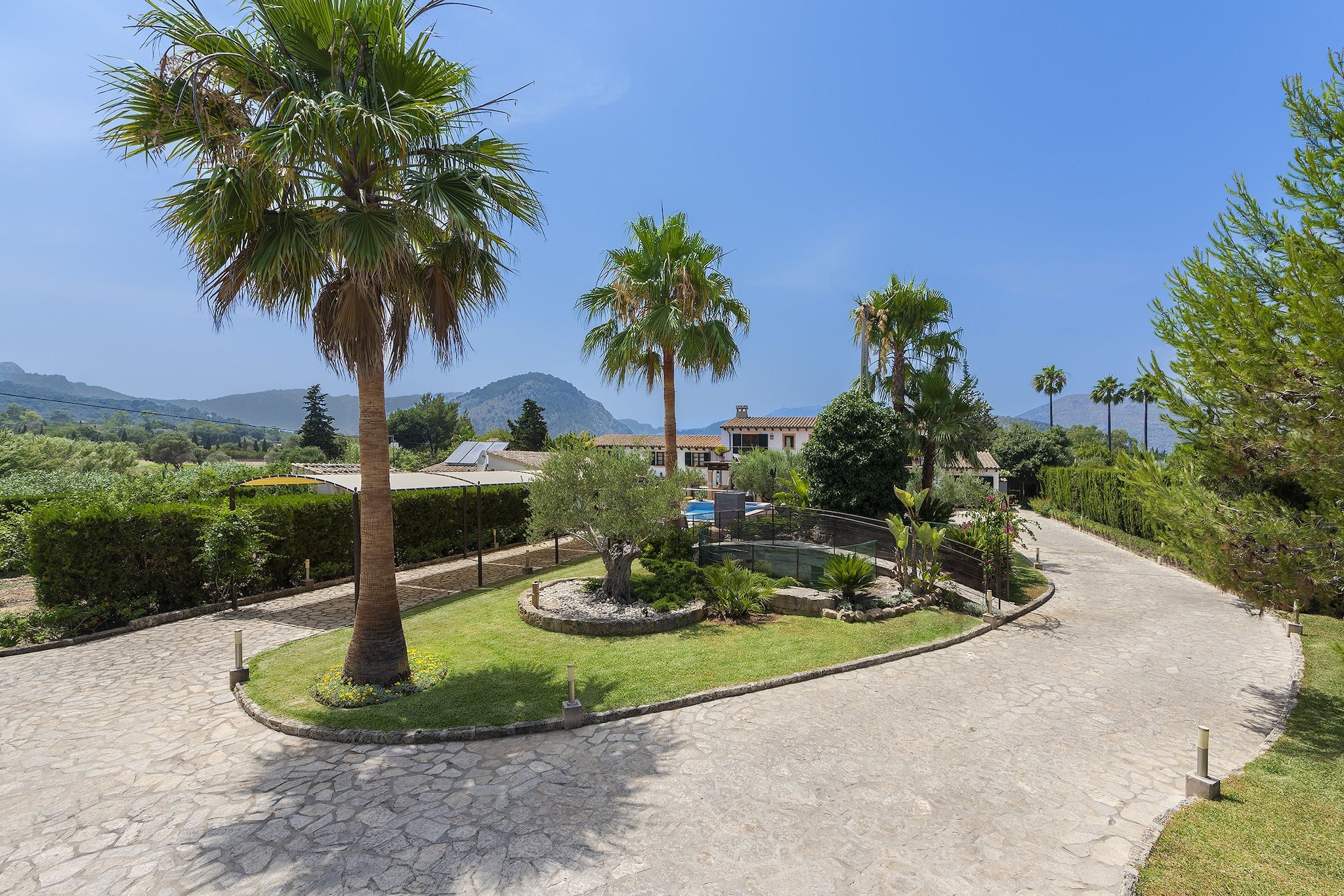 Un jardín ajardinado con palmeras, una piscina y un sendero de piedra.