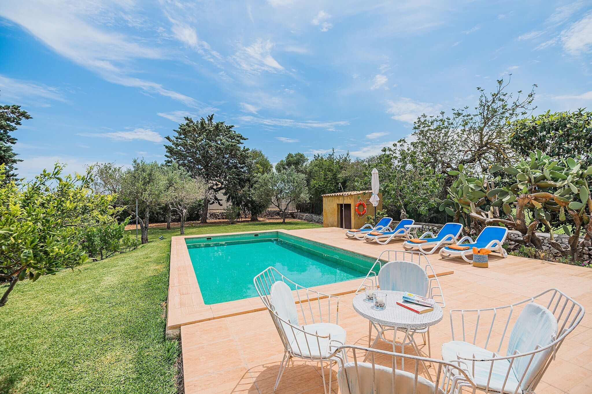 Une piscine entourée de verdure et d’arbres, avec des chaises longues et une petite table.