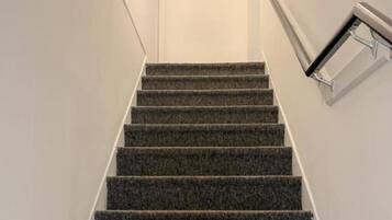 A staircase with carpeted steps and a handrail on the right.