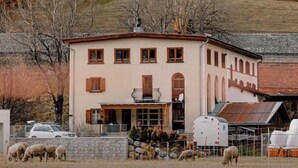 A two-story building with a flat roof, a balcony, and a fenced yard with sheep. - Haute Alpine Living (S-chanf)