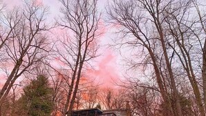 A building surrounded by leafless trees with a pinkish sky. - Epic Mountaintop Views • HotTub • Billiard Near Shenandoah Natl Park • Vineyards (Front Royal)