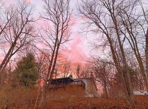 Een gebouw omringd door kale bomen met een roze lucht.