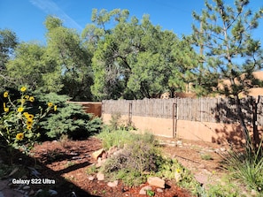 A fenced outdoor area with various plants and trees. - Gorgeous Adobe with Kivas & separate Casita, walk river path to Plaza, Patio (Santa Fe)