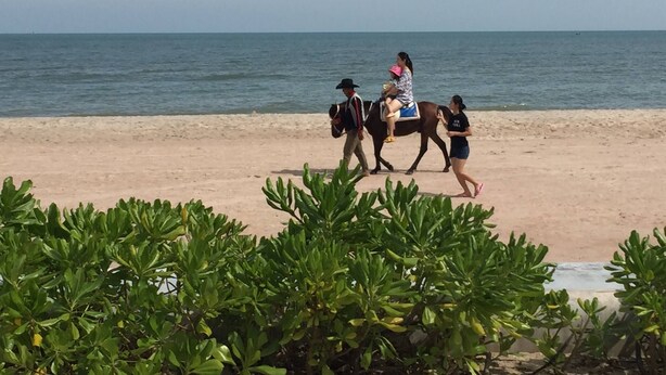 Una spiaggia con un cavallo, un cavaliere e una persona che cammina accanto.