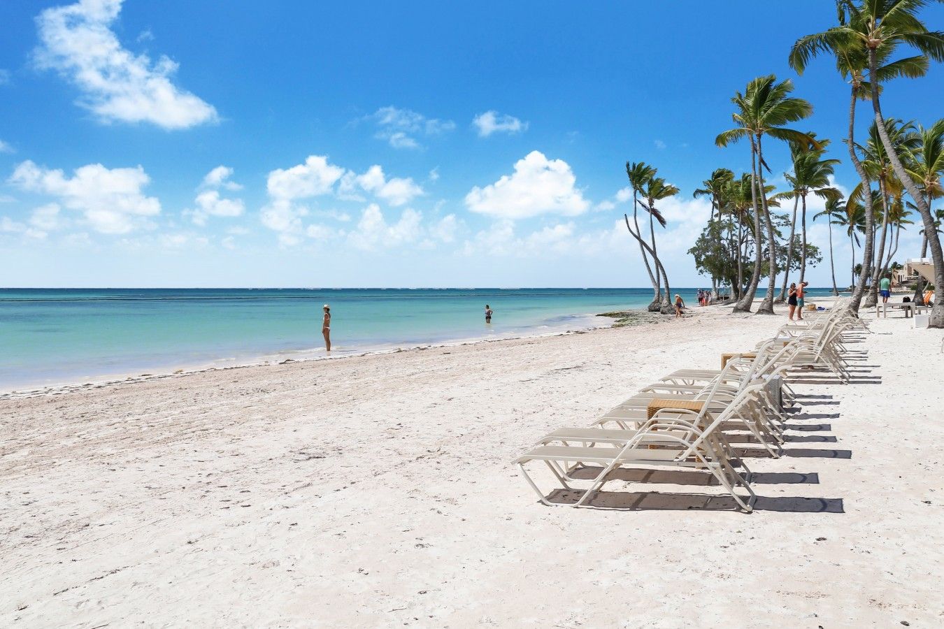 A beach with white sand, palm trees, and a row of empty sun loungers.