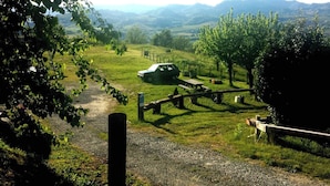 A rural landscape with a parked car, picnic table, and a dog.