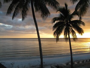 A beach with palm trees and a sunset over the ocean. - The Shores Condos - BEST in the Building!  TRUE Beachfront - End Unit! (Fort Myers Beach)
